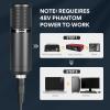 imageMAONO XLR Condenser Microphone Professional Cardioid Studio Recording Mic for Streaming Podcasting Singing VoiceOver Vocal HomeStudio YouTube Skype Twitch PM320S